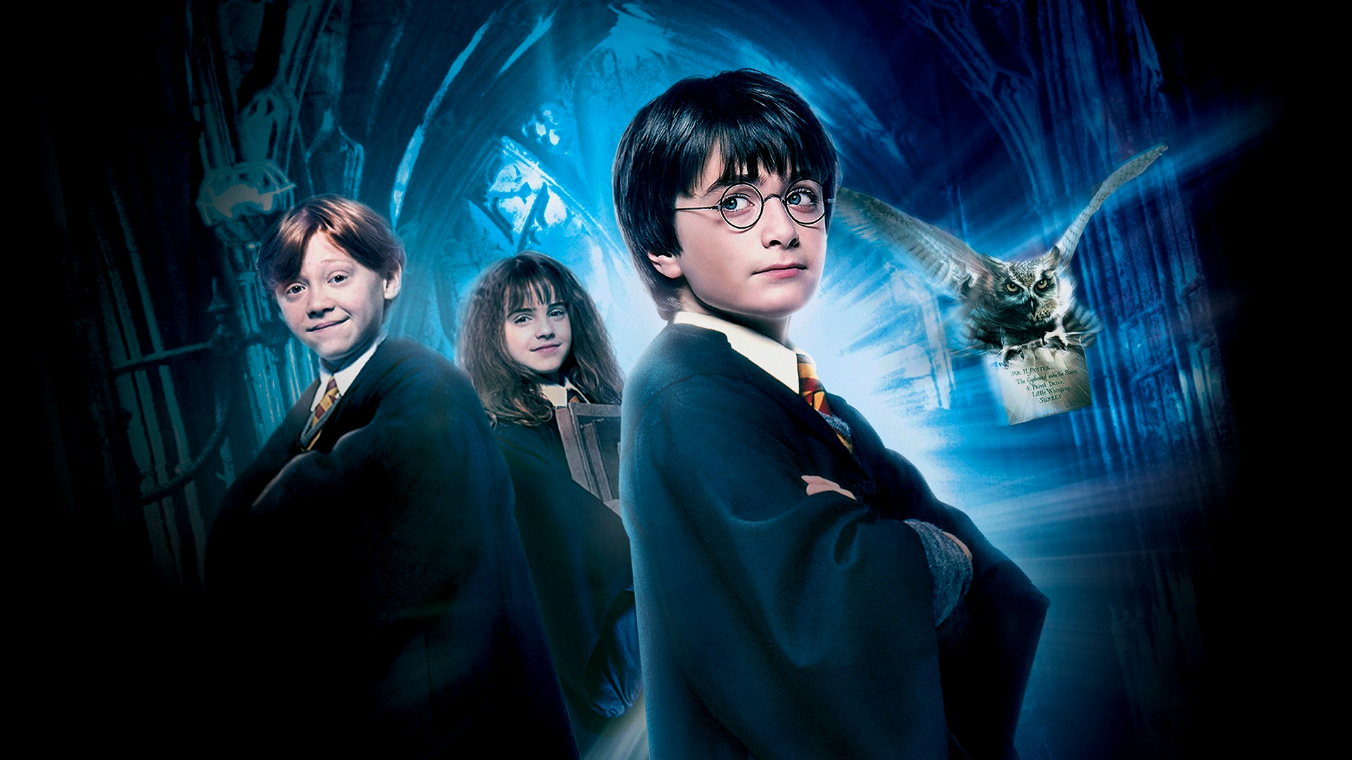 Harry Potter & A Saga Completa