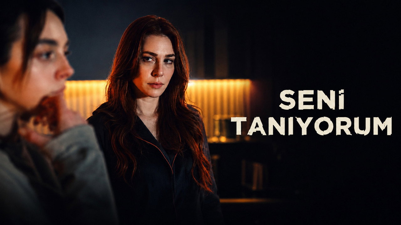 Seni Taniyorum