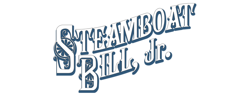 Steamboat Bill, Jr.