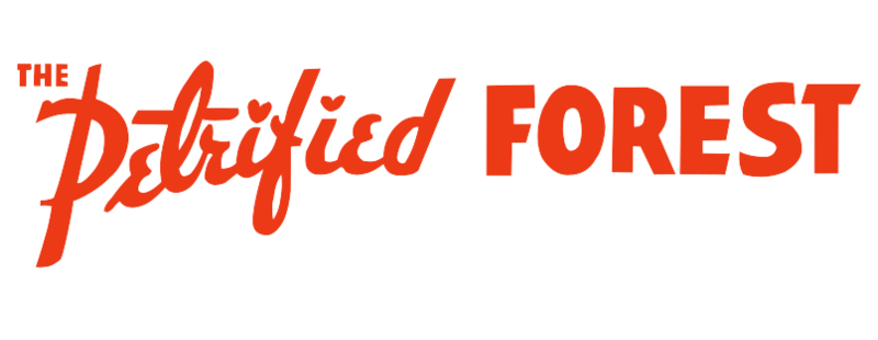 The Petrified Forest