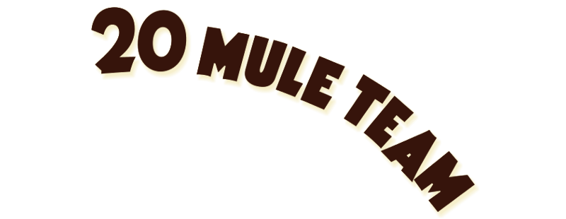 20 Mule Team