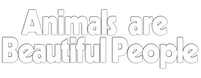 Beautiful People