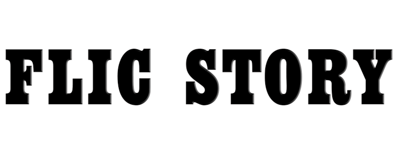 Flic Story