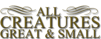 All Creatures Great & Small