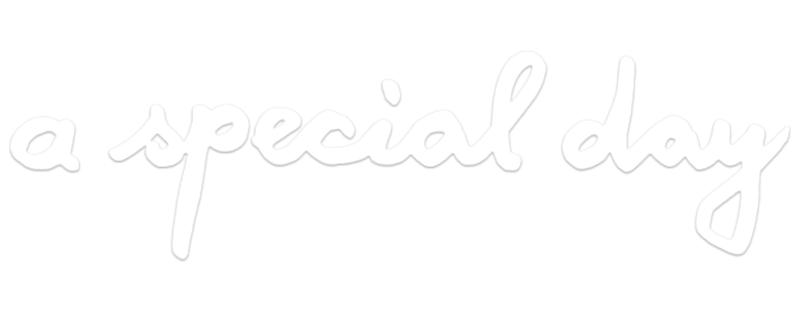 A Special Day