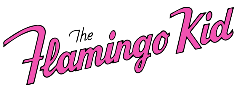 The Flamingo Kid