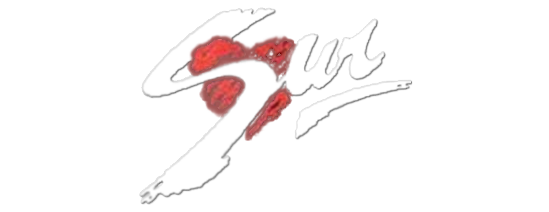 The South