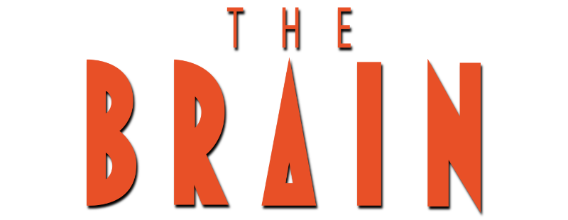 The Brain