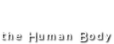 The Human Body