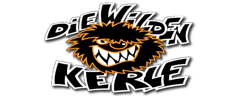 Die Wilden Kerle: Alles ist gut, solange du wild bist!