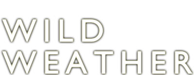 Wild Weather