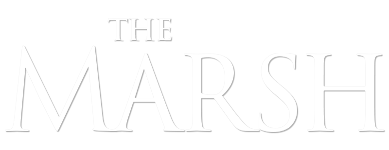 The Marsh