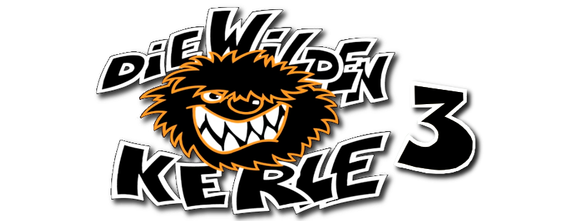 Die Wilden Kerle 3