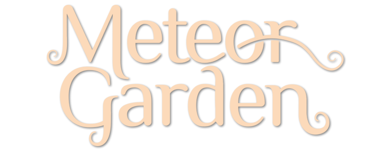 Meteor Garden