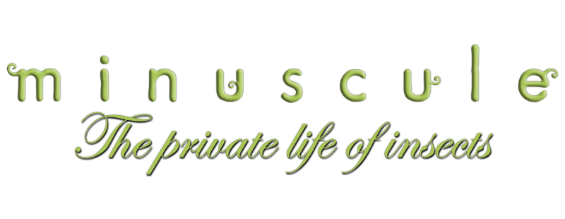 Minuscule