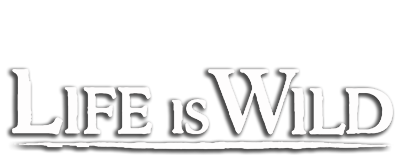 Life Is Wild