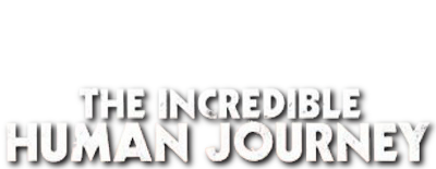 The Incredible Human Journey