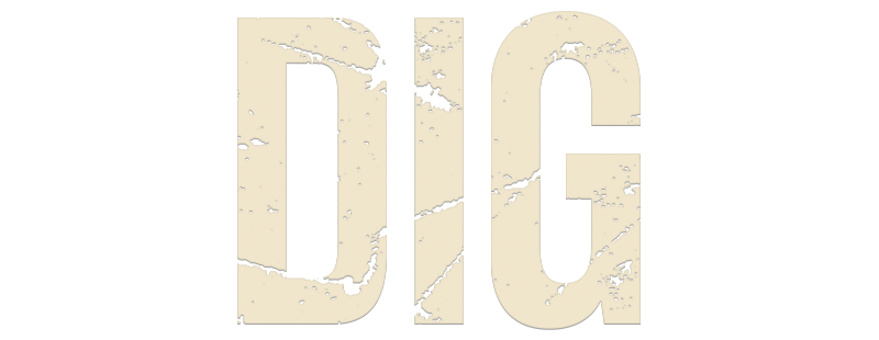 Dig