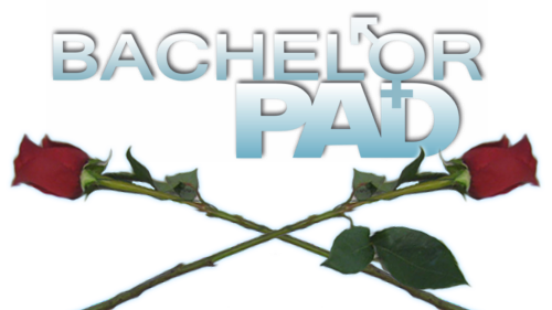 Bachelor Pad
