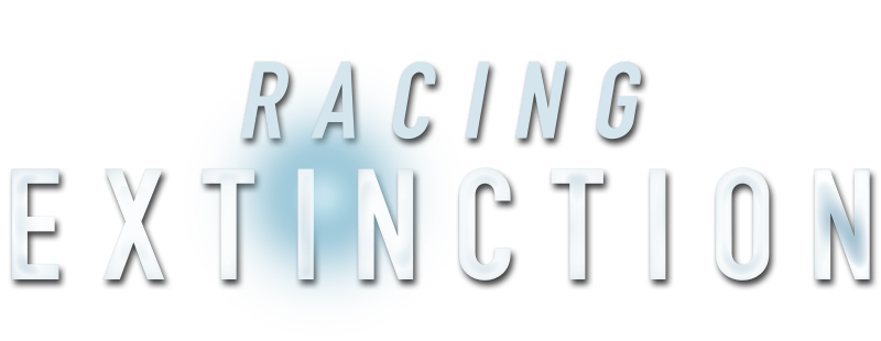 Racing Extinction