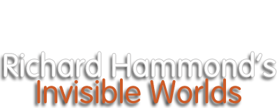 Richard Hammond's Invisible Worlds