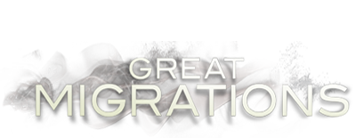 Great Migrations