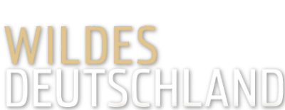 Wildes Deutschland
