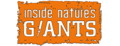 Inside Nature's Giants