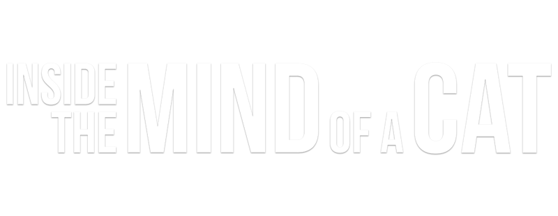 Inside the Mind of a Cat