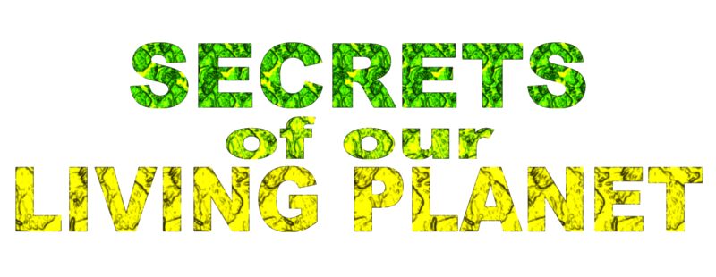 Secrets of Our Living Planet