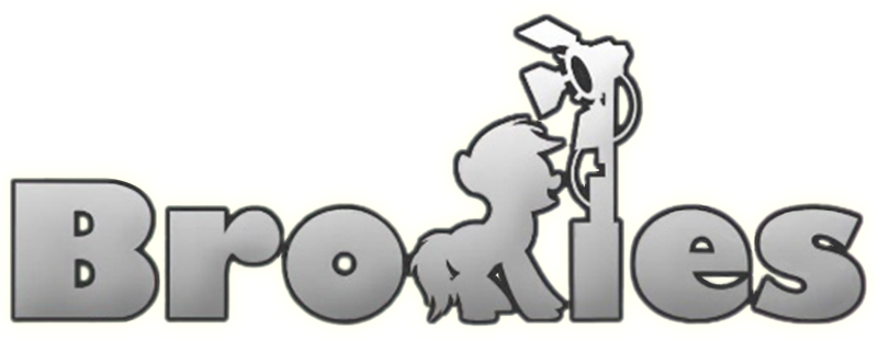 Bronies: The Extremely Unexpected Adult Fans of My Little Pony