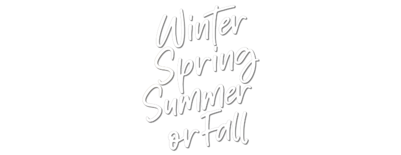 Winter Spring Summer or Fall