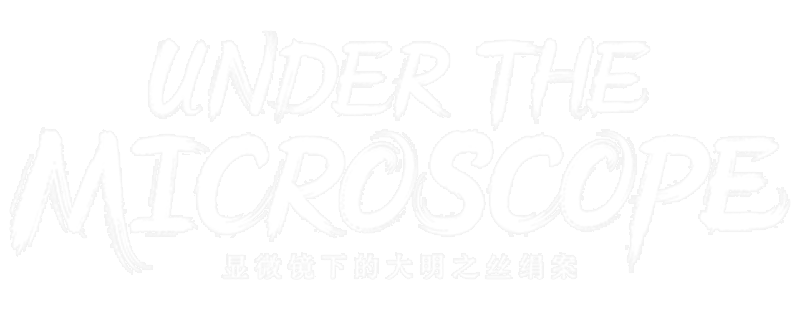 Under the Microscope