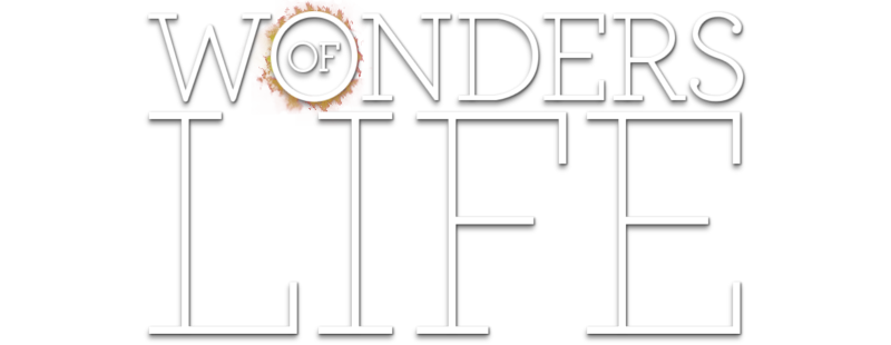 Wonders of Life