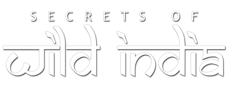 Secrets of Wild India