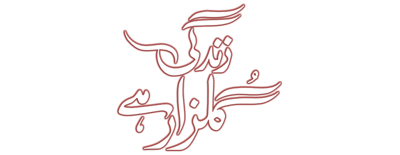 Zindagi Gulzar Hai