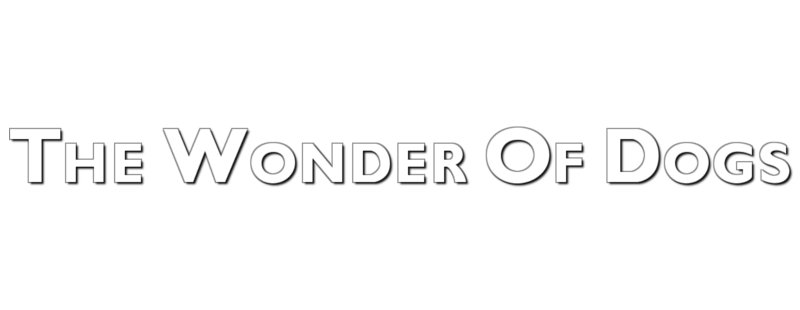 The Wonder of Dogs
