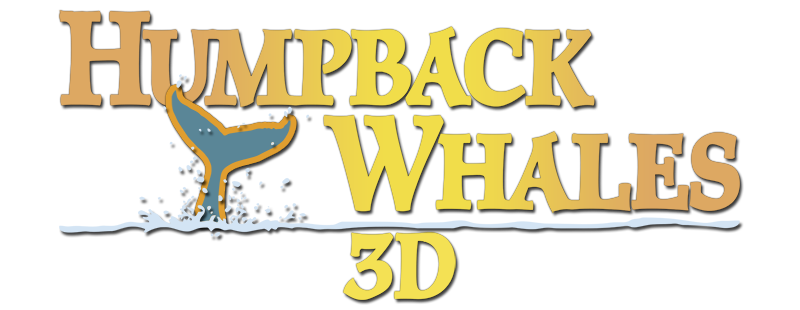 Humpback Whales