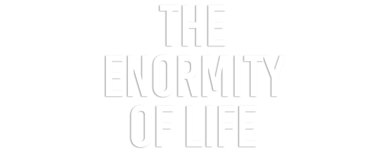 The Enormity of Life