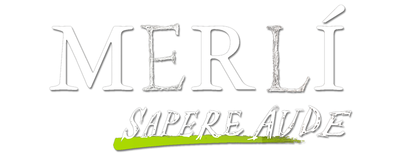 Merlí. Sapere Aude