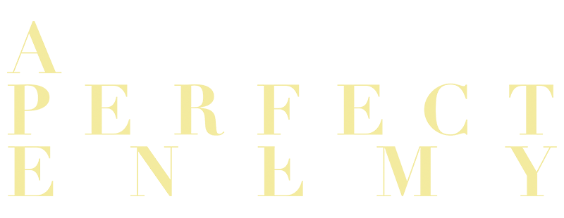 A Perfect Enemy
