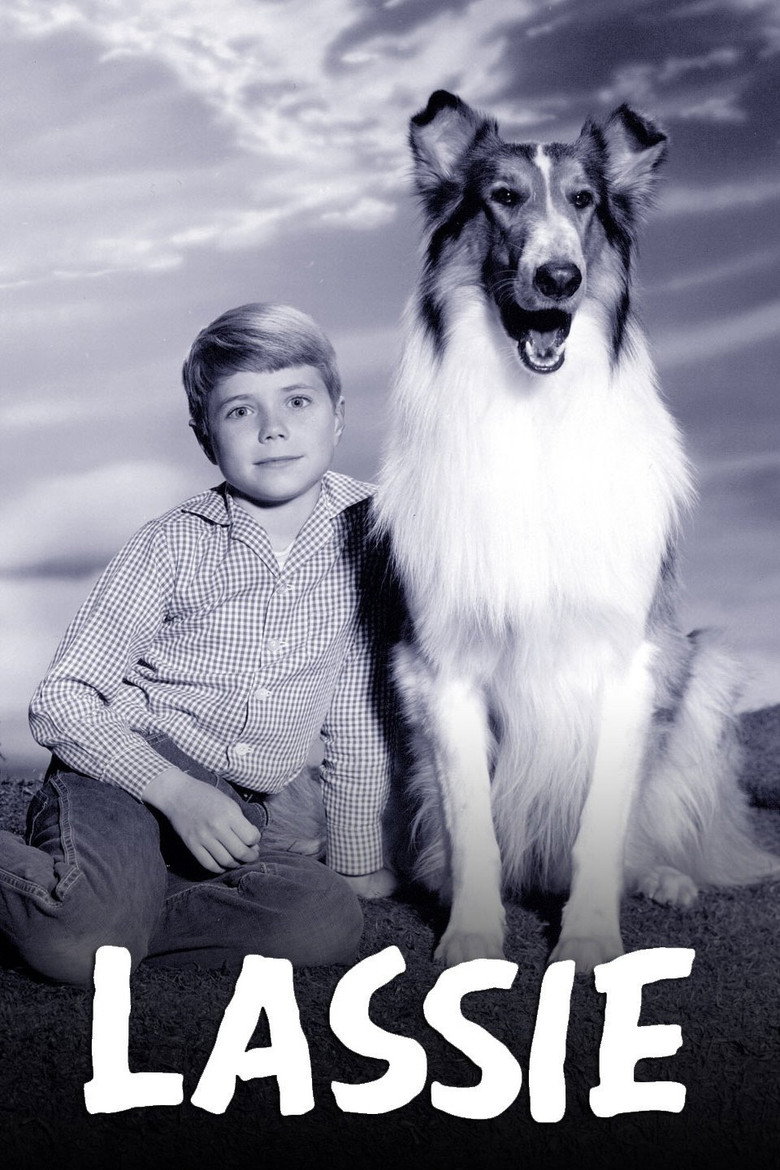 Lassie (1954) — affiche série