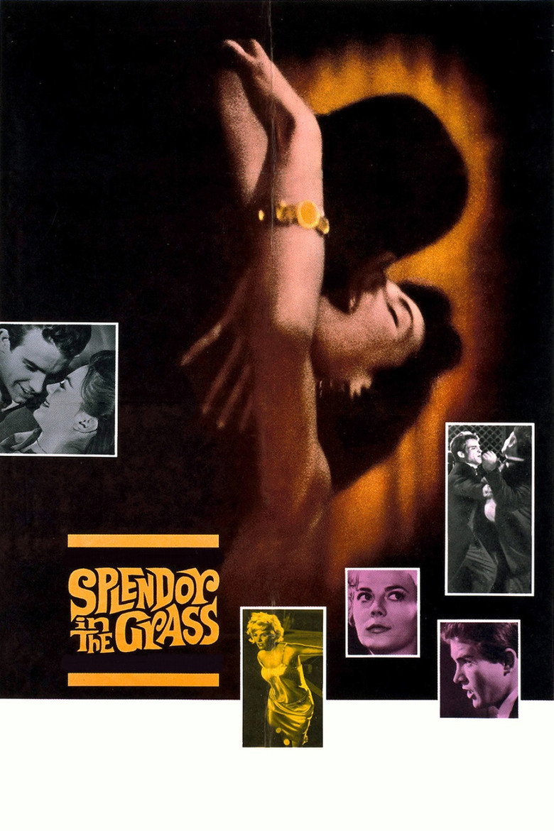 Splendor in the Grass (1961) — affiche film et bande-annonce