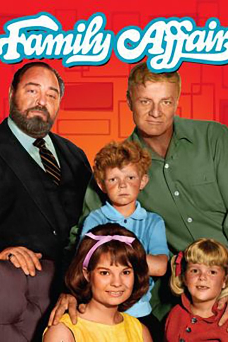 Family Affair (1966) — affiche série