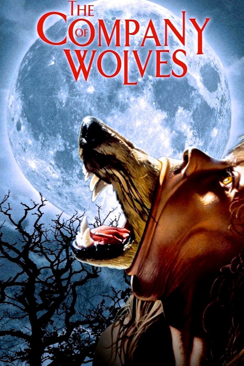 The Company of Wolves (1984) — affiche film et bande-annonce