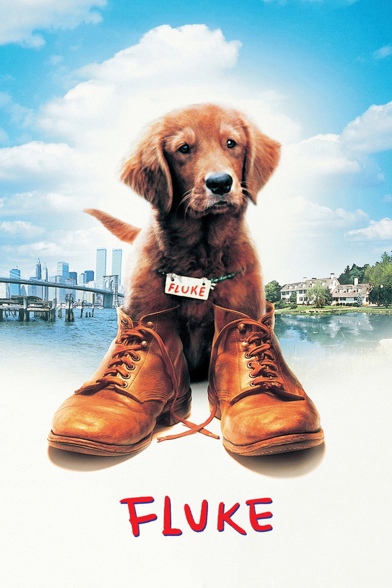 Fluke (1995) — affiche film et bande-annonce