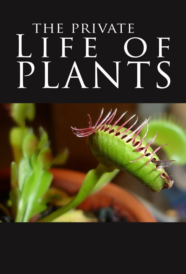 The Private Life of Plants (1995) — affiche série