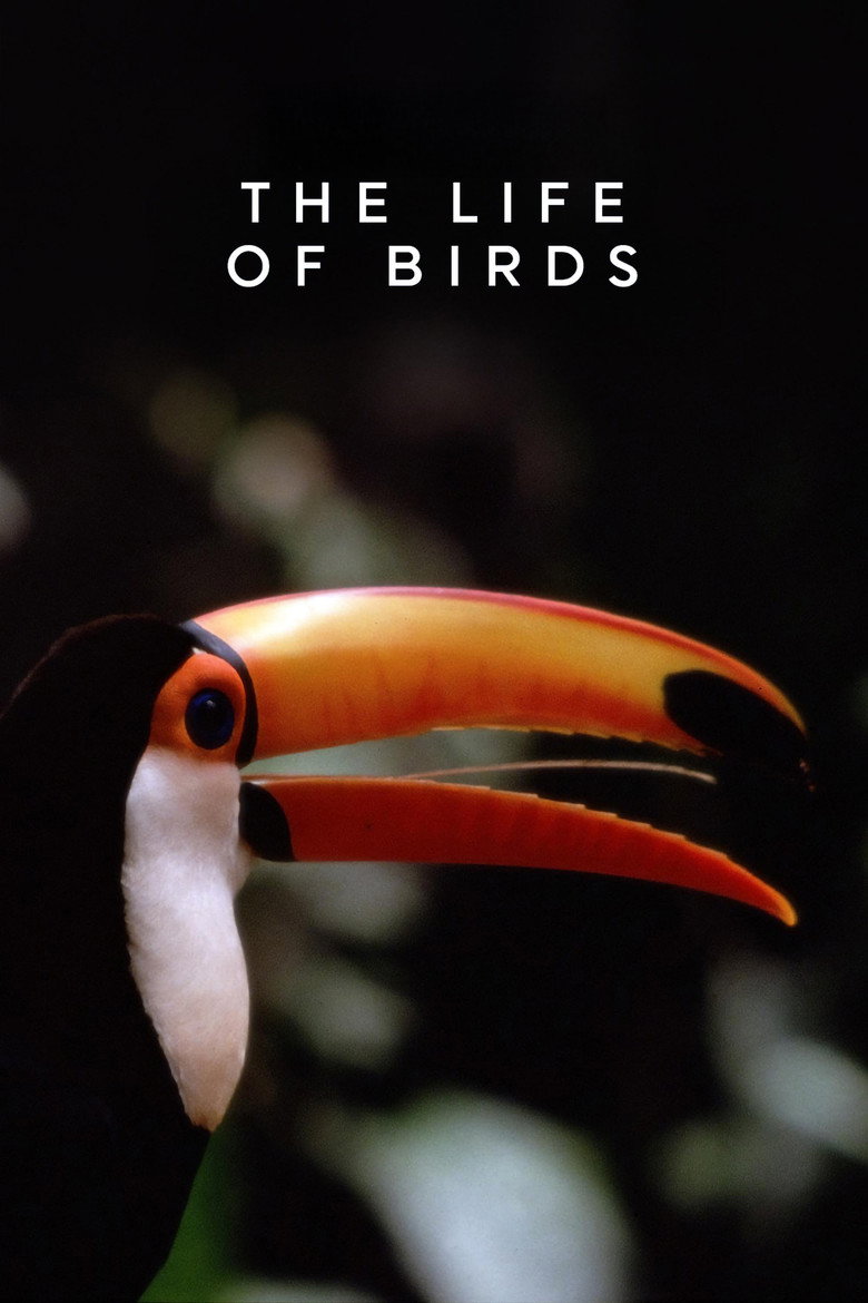 The Life of Birds (1998) — affiche série