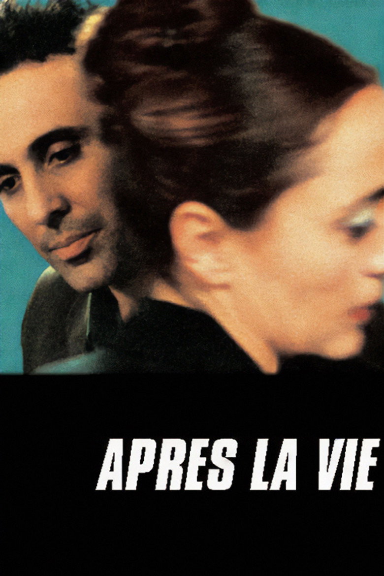 Après la vie (2002) — affiche film