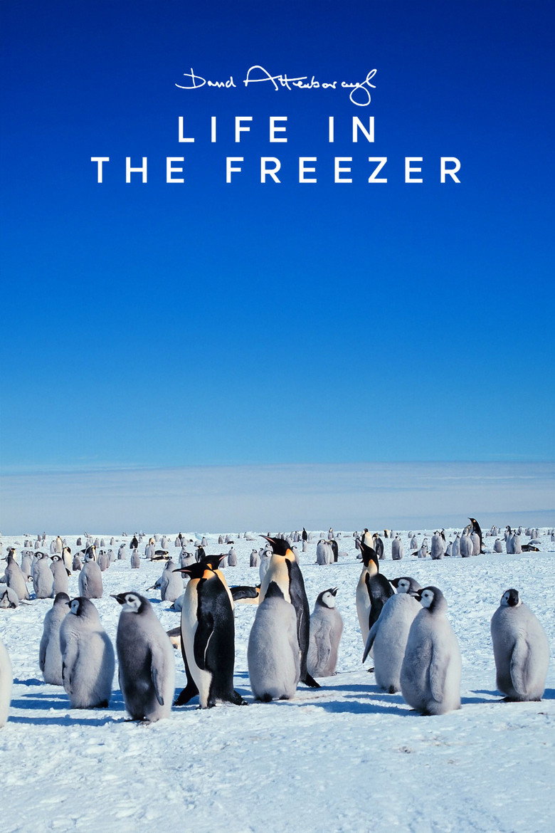 Life in the Freezer (1993) — affiche série